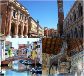 collage-3